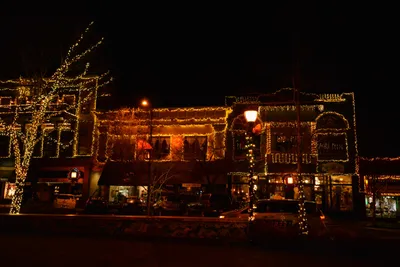 DSC_5862 (Large).JPG